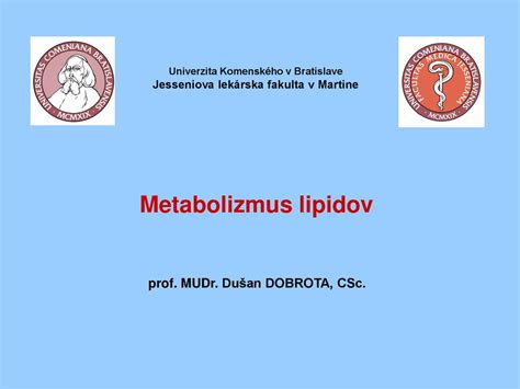 Zobrazenie rôznych potravín podporujúcich metabolizmus
