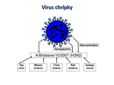 ilustrácia znázorňujúca príznaky keto chrípky