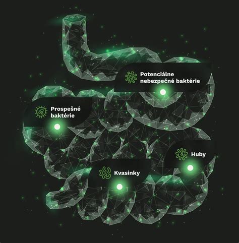 Ilustrácia znázorňujúca črevný mikrobióm a jeho benefity.