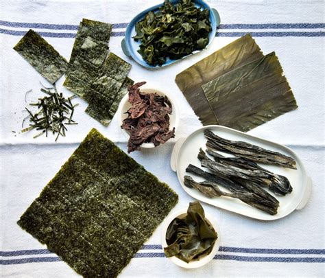 Porovnávacia tabuľka nutričných hodnôt bežných druhov morských rias (nori, kombu, wakame)