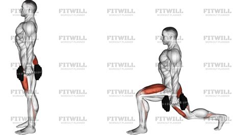 Ilustrácia správneho prevedenia drepu s dôrazom na zapojenie svalov stehien a zadku.