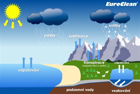Ilustrácia znázorňujúca kolobeh makroživín v tele a proces premeny na energiu.