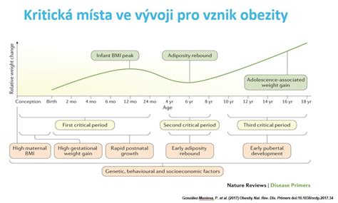 graf zobrazujúci nárast obezity u detí v priebehu rokov