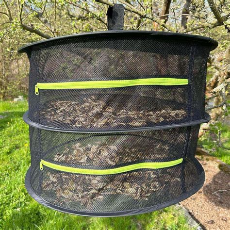 Zostava rôznych čínskych byliniek a húb