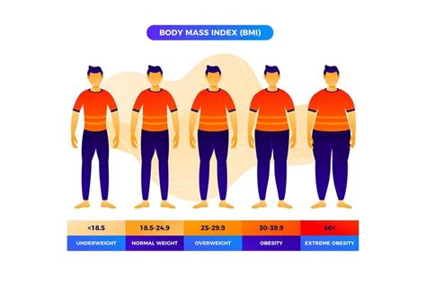 Ilustračná grafika s rôznymi kategóriami BMI