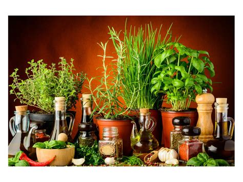 Ilustračná fotografia rôznych čerstvých byliniek a korenia