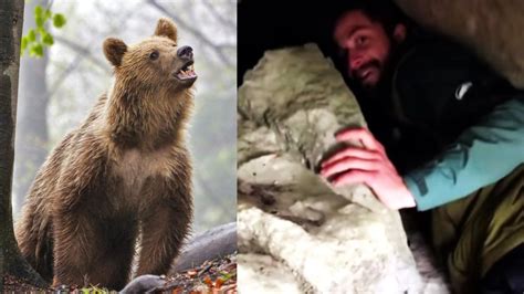 interiér medvedieho brlohu s výstelkou