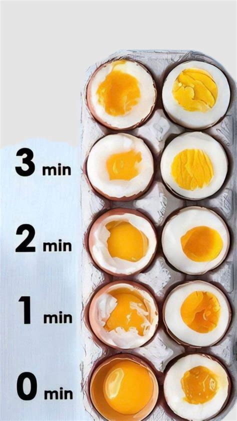 Ilustrácia nutričného zloženia vajca