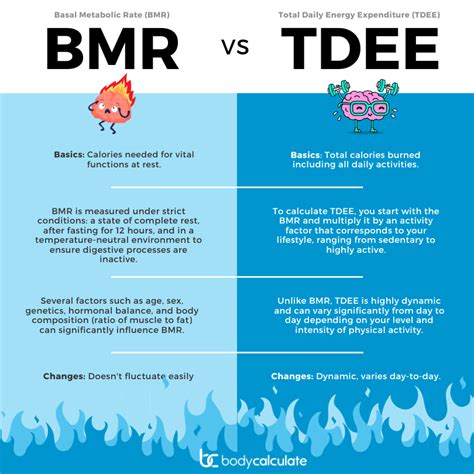 Infografika s príkladom výpočtu TDEE na základe BMR a úrovne aktivity