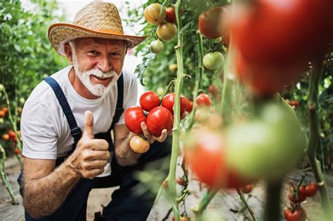 Infografika porovnávajúca zloženie stravy Carnivore a tradičnej stravy
