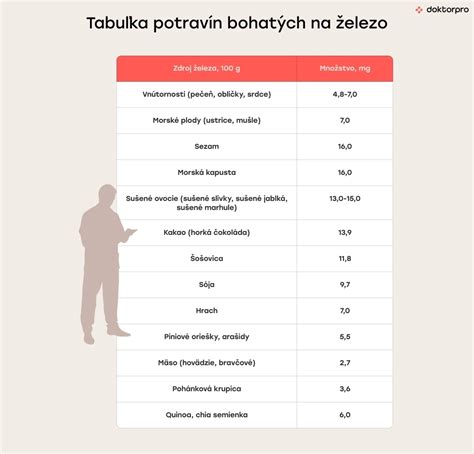 infografika s prehľadom potravín bohatých na vlákninu