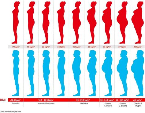 ilustrácia znázorňujúca typy obezity (jablko, hruška)