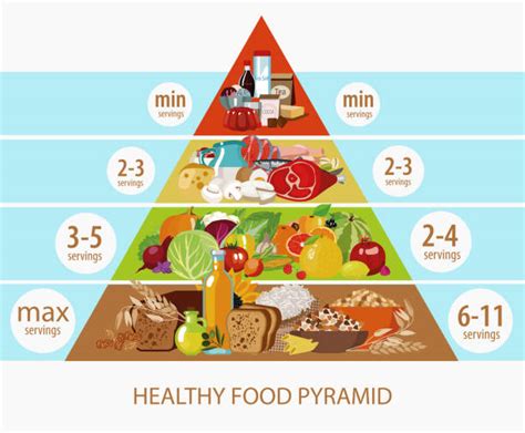 zobrazenie potravinovej pyramídy