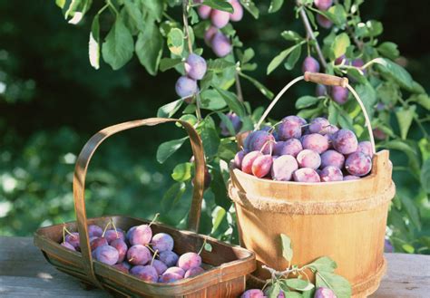 Ilustračné foto čerstvo uvareného marhuľového lekváru v hrnci