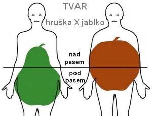 Schematické znázornenie androidnej obezity (typ jablko) a gynoidnej obezity (typ hruška)