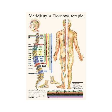 Základné princípy akupresúry a mapa meridiánov