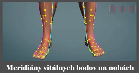 Grafika akupresúrnych bodov na rukách a nohách pre chudnutie