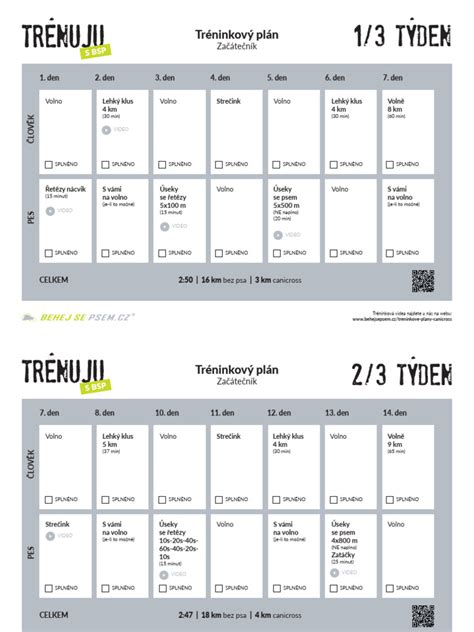 Infografika: Vizualizácia fáz tréningového plánu (zahriatie, tréning, intervaly, ochladenie, strečing)