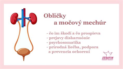 infografika (schéma ľudských orgánov zapojených do detoxikácie - pečeň, obličky, črevá, koža, pľúca)
