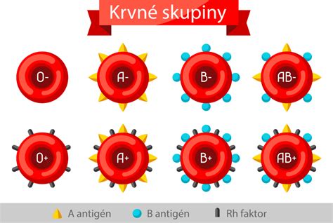 Ilustrácia znázorňujúca evolúciu krvných skupín v rôznych historických obdobiach