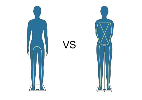 Ilustrácia princípu segmentálnej analýzy tela pomocou 8 elektród