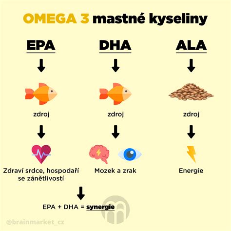 Infolgrafika zobrazujúca zloženie olivového oleja (nenasýtené mastné kyseliny, antioxidanty, vitamín E)