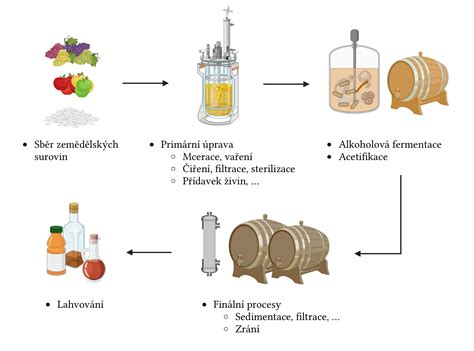 schéma výroby jablčného octu od čerstvých jabĺk až po fermentovaný produkt