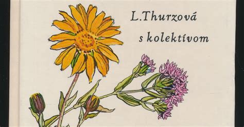 ilustrácia rôznych liečivých rastlín a bylín