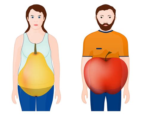 Infografika: rozloženie tuku pri androidnej a gynoidnej obezite (tvar jablka a hrušky)