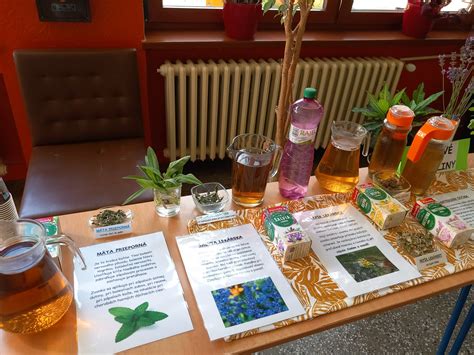 Koláž rôznych bylinkových čajov v šálkach