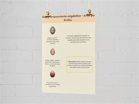 infografika zobrazujúca proces pravidelného merania a váženia u pediatra