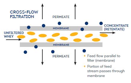 Schéma procesu výroby proteínu metódou CFM (Cross-Flow Microfiltration) zdôrazňujúca zachovanie živín