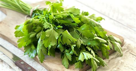 Tematická fotografia: čerstvá petržlenová vňať na drevenej doske