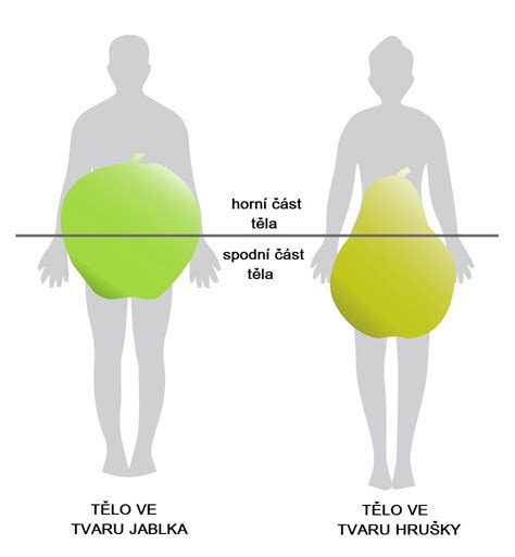 Schéma rozloženia tuku pri type jablko (ilustrácia s červeným zvýraznením brušnej oblasti)