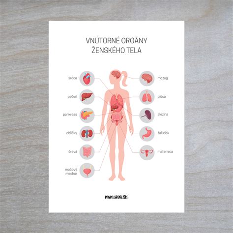 Infografika: Kľúčové adipokíny (leptín, adiponektín, rezistín) a ich vplyv na orgány
