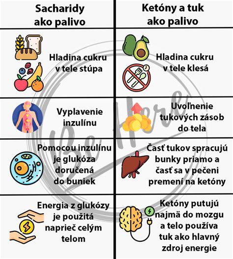 tabuľka porovnávajúca výhody a nevýhody populárnych diét (Keto, Stredomorská, Paleo, Prerušovaný pôst)