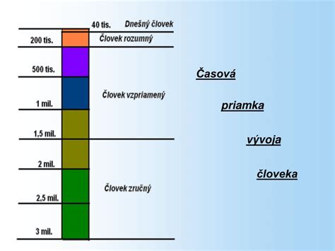 infografika znázorňujúca štyri hlavné fázy metabolického vývoja človeka počas života