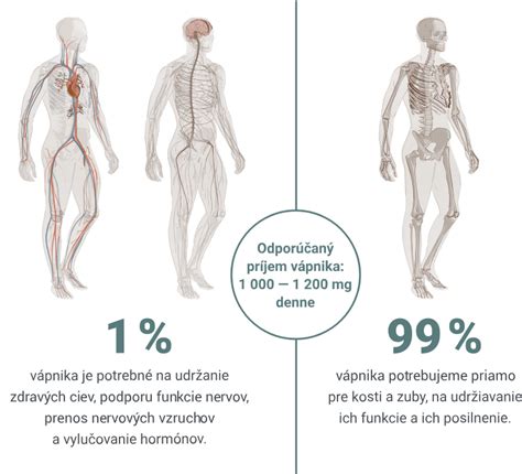 Schéma vzájomného metabolizmu vápnika a fosforu v ľudskom tele so znázornením ich ukladania v kostiach a regulácie hladiny v krvi.