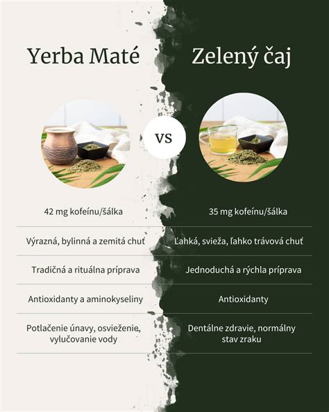 Schéma zloženia bylinnej tinktúry s vyznačením kľúčových zložiek (garcínia, maté, zelený čaj, pýr)