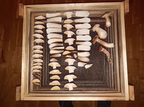 kolekcia čínskych byliniek a sušených húb na drevenom stole