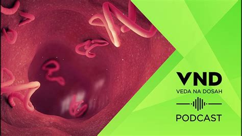 Vizualizácia rozdielov medzi podkožným a viscerálnym tukom v ľudskom tele