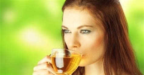 Schéma vplyvu čajov na metabolizmus a spaľovanie tukov