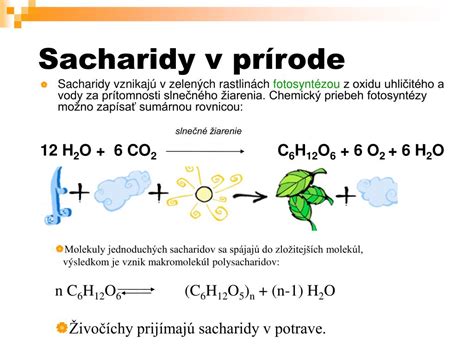 infografika: rozdelenie sacharidov na jednoduché (cukry) a komplexné (polysacharidy) s príkladmi potravín