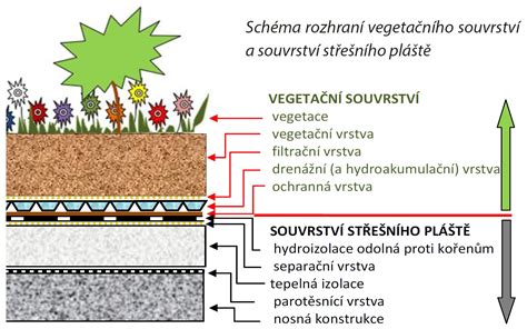 Schéma porovnania: proces spracovania zelenej (nepraženej) a čiernej (praženej) kávy