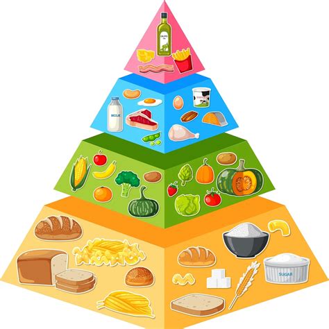 Ilustrácia vyváženej stravy a potravinovej pyramídy