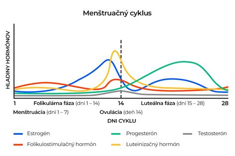 Schéma znázorňujúca prirodzený hormonálny cyklus v porovnaní s umelo stabilizovaným cyklom počas užívania antikoncepcie
