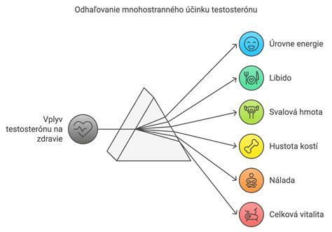 Schéma vzťahu medzi svalovou hmotou a metabolickou aktivitou