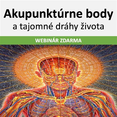 Ilustrácia znázorňujúca energetické dráhy tela a akupunktúrne body.