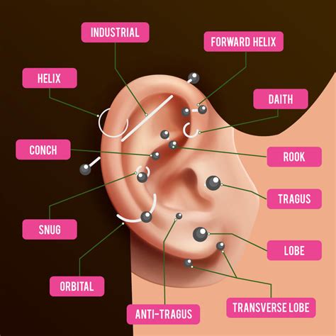 Diagram ucha s vyznačenými bodmi pre rôzne typy akupiercingu (migrénový, Shenmen, Slim, Klimax, Tragus).