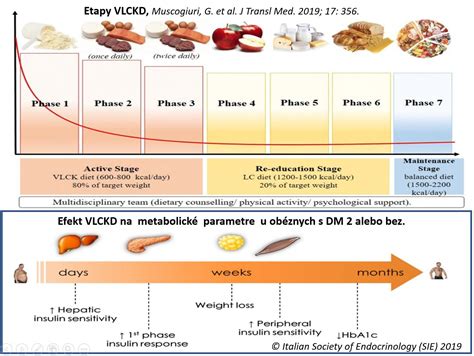 infografika znázorňujúca komorbidity obezity (cukrovka, hypertenzia, spánkové apnoe, ortopedické problémy)